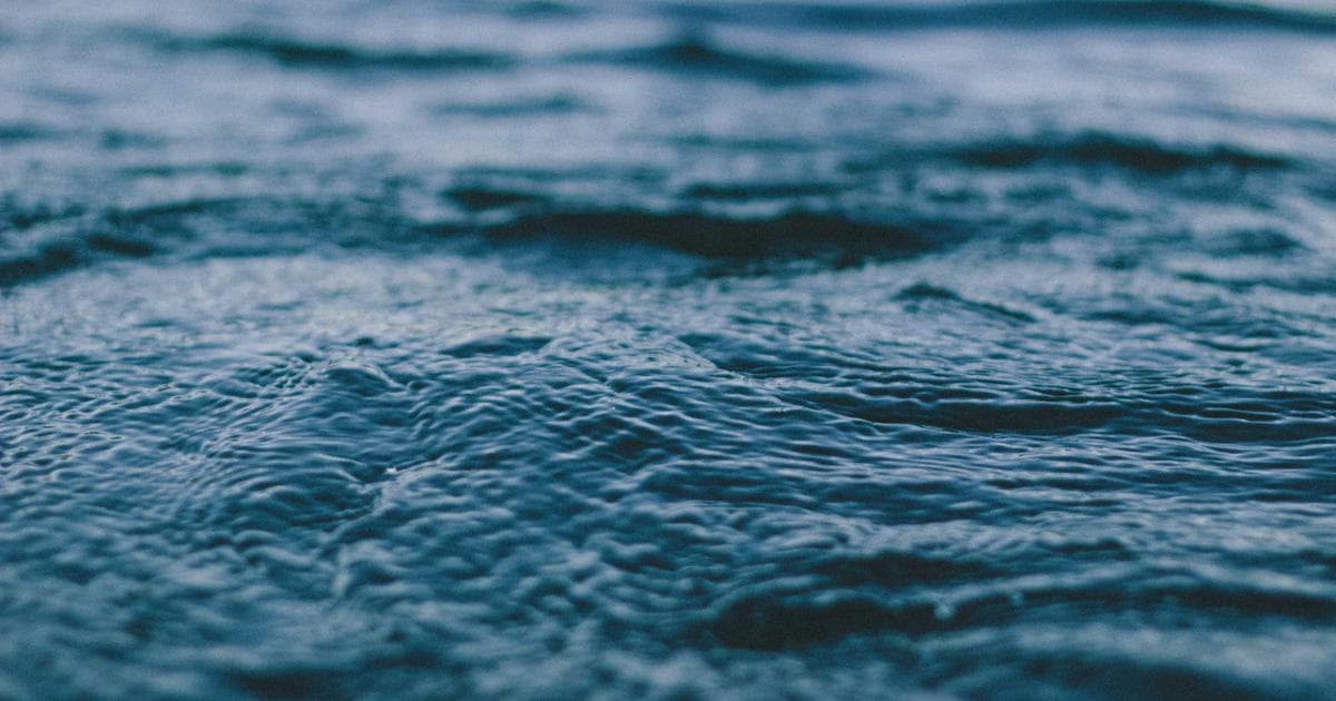 KI in der Landwirtschaft: Smarte Ernte und nachhaltige Produktion