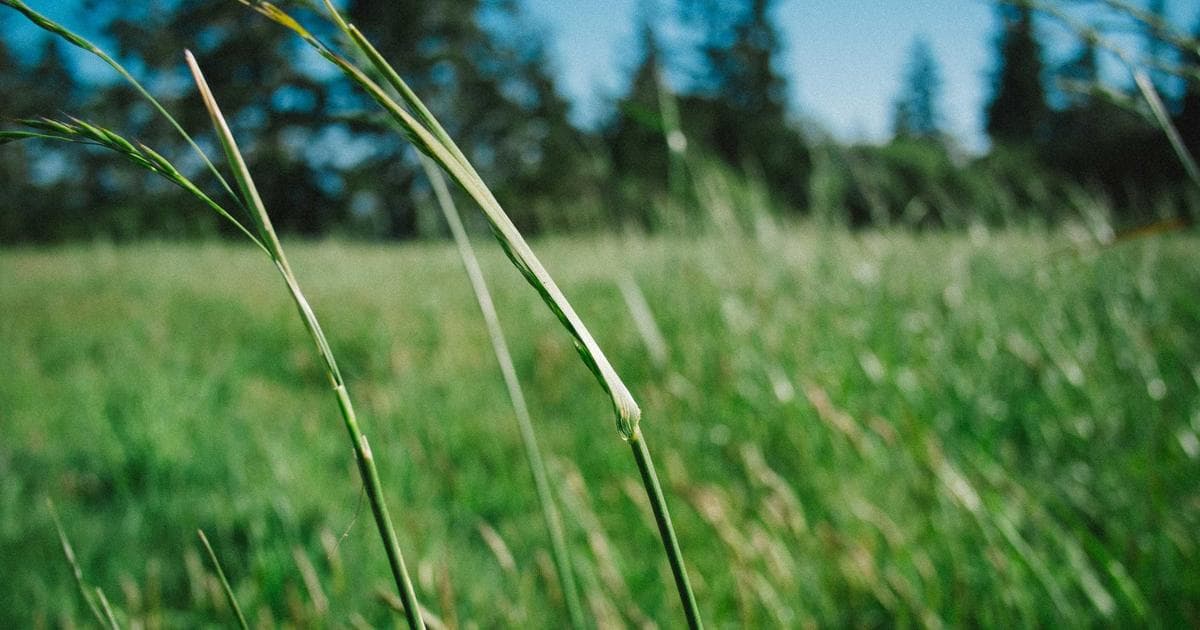 Chatbot vs. KI-Agent: Der Unterschied, der alles ändert