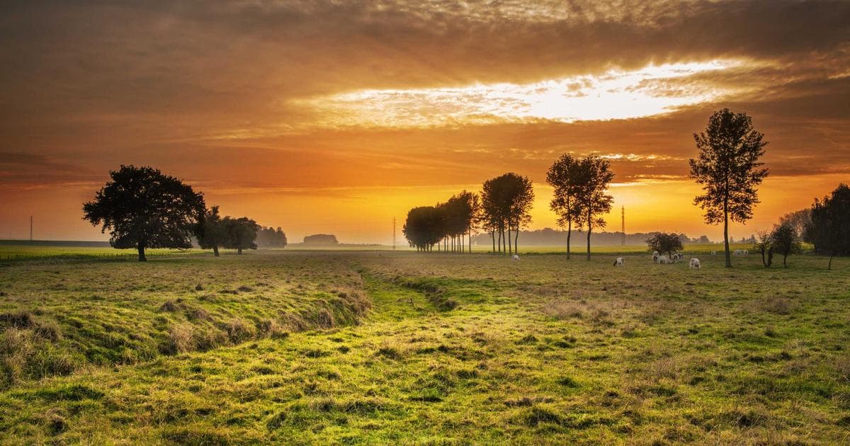 Ethik in der KI-Entwicklung: Verantwortungsvolle Innovation