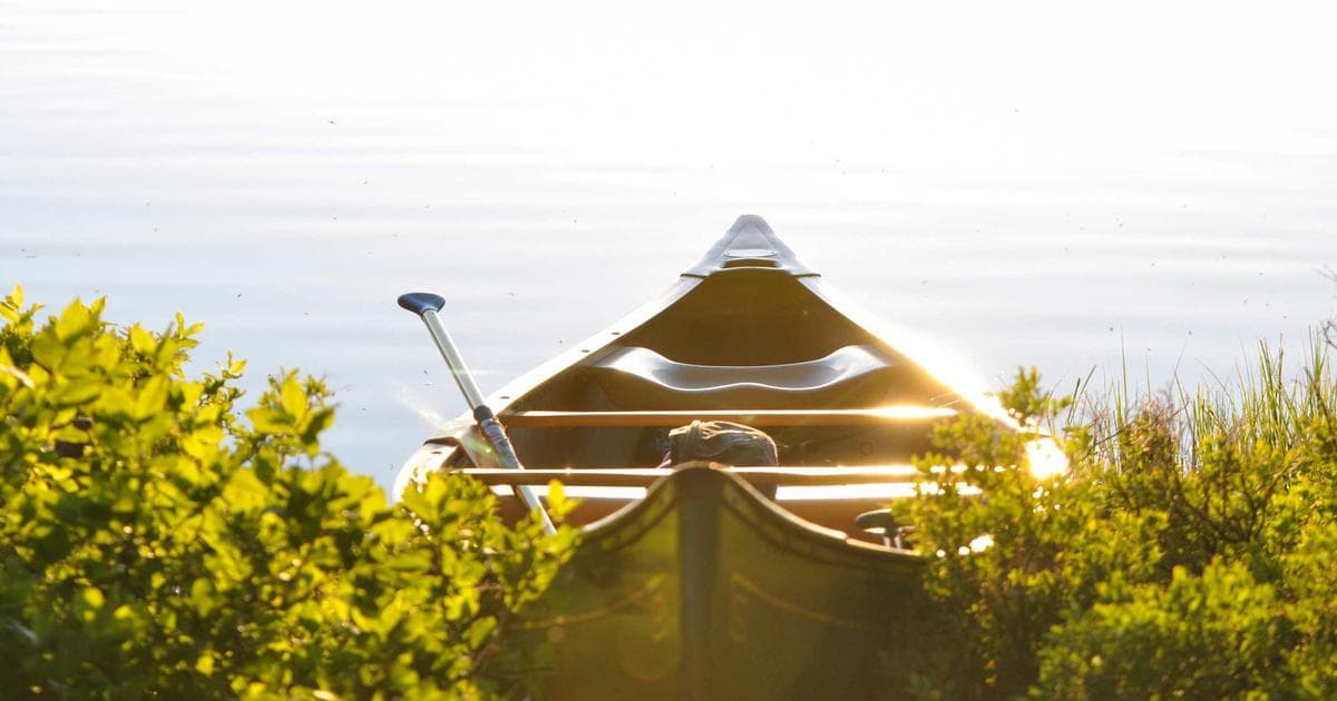 Nachhaltigkeit durch KI: Umweltfreundliche Automatisierung