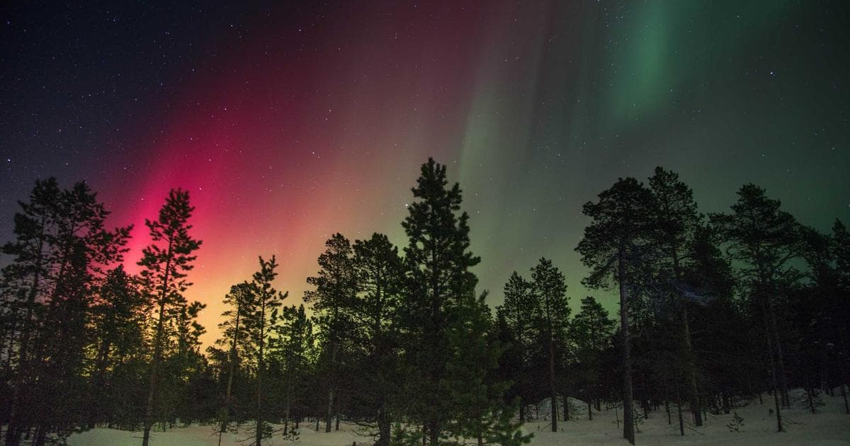 ROI von KI-Investitionen: Messbare Erfolge in 6 Monaten