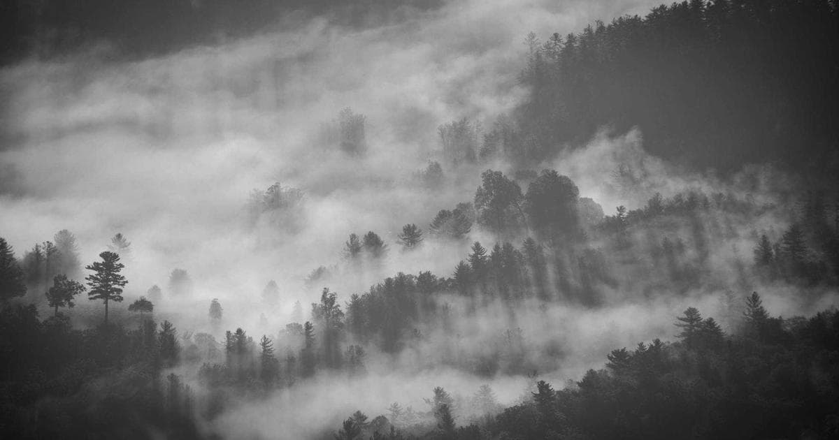 Prozessautomatisierung in der Pflege: Mehr Zeit für Menschen