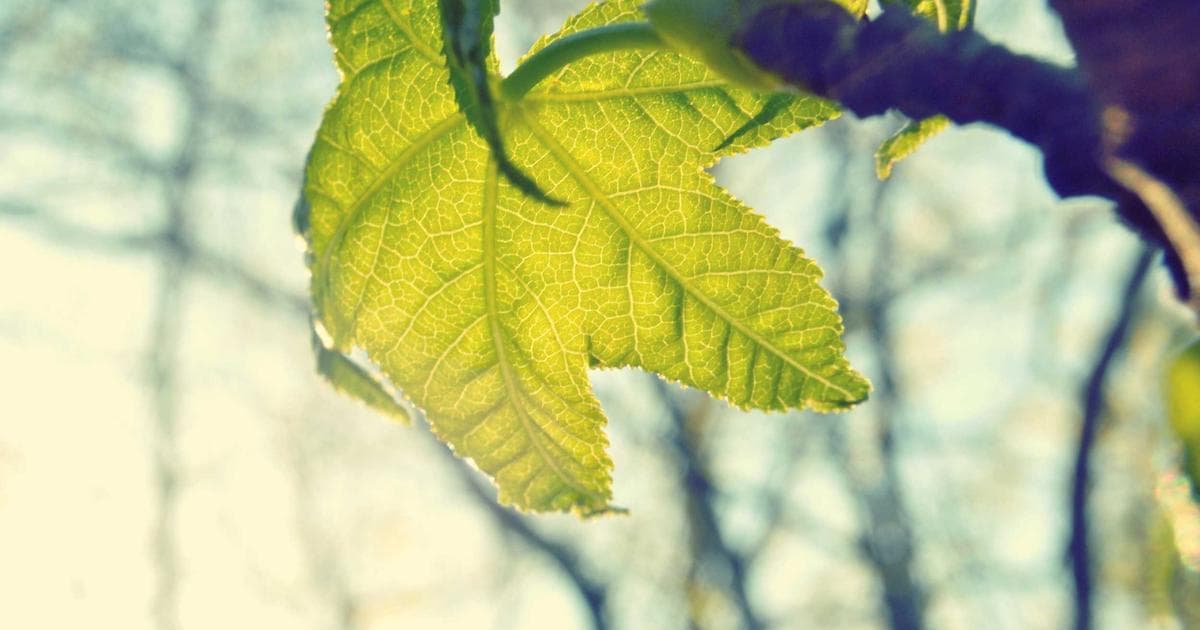 KI für Personalwesen: Rekrutierung und Mitarbeiterbindung